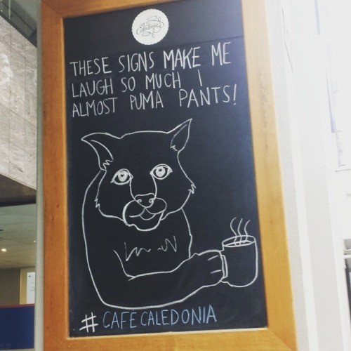 Best Restaurant Chalkboard Ads - Cafe Caledonia Puma